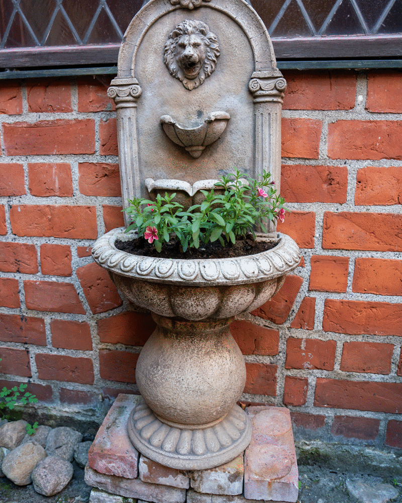 Trädgården i Kockska huset malmö