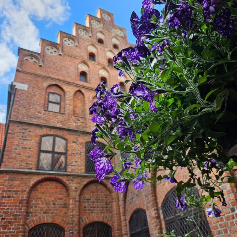 restaurang i Kockska huset malmö